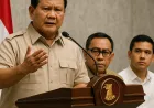 Gerindra Tegaskan Presiden Prabowo Tak Pernah Intervensi Penegakan Hukum