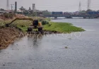 Penanganan Sedimentasi Kanal Banjir Timur Semarang untuk Cegah Banjir
