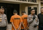 Pembunuhan di Toraja Utara Terungkap: Polisi Ungkap Motif Dendam Lama