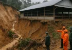 Longsor di Binusan Akibat Hujan Deras, Bangunan Peternakan Ayam Terancam