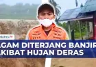 Sungai Batang Meluap, Banjir Kembali Rendam Permukiman di Agam Sumbar