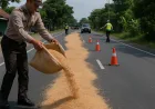 Polisi Ngawi Sebar Sekam Padi untuk Cegah Kecelakaan Akibat Tumpahan Solar