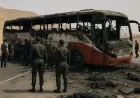Kecelakaan Bus di Suriah Tewaskan 35 Orang, Investigasi Penyebab Terus Berlanjut