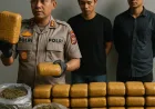 Polisi Bongkar Peredaran Ganja 8,7 Kg Lewat Media Sosial di Bekasi-Bogor