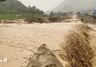 7 Provinsi Pegunungan Vietnam Utara Siaga Hadapi Hujan Lebat dan Banjir Bandang