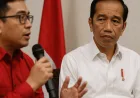 Tudingan Ijazah Jokowi Palsu: PSI Sebut Partai Pengusung Juga Harus Bertanggung Jawab