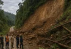 Longsor di Morowali Utara Isolasi 2.104 Warga, Akses Jalan Terputus