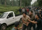 Video Kecelakaan di Tasik: Sopir Mabuk Diamuk Warga Karena Dikira Begal