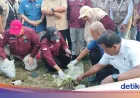 Program Biopori di 17 Desa Lamongan Jadi Solusi Efektif Cegah Banjir