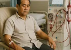 Penyakit Ginjal Bisa Berujung Cuci Darah: Kenali Gejala dan Pencegahannya