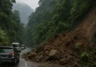 Longsor di Jalur Lembah Anai KM 66,700 Hentikan Akses Padang–Bukittinggi Sementara