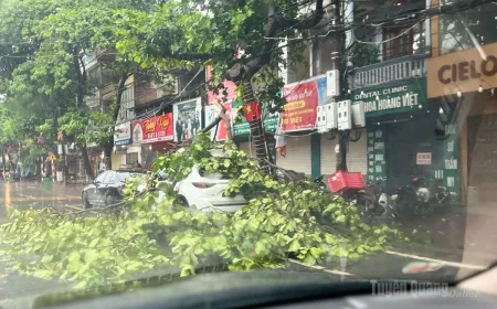 Respons Proaktif terhadap Hujan Lebat dan Bencana Alam di Provinsi Tuyên Quang