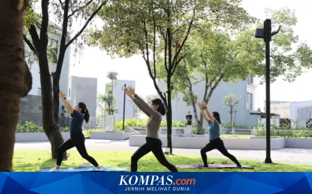 Intiland Gaet Pembeli Rumah Minimalis dengan Taman Komunal Tierra Park