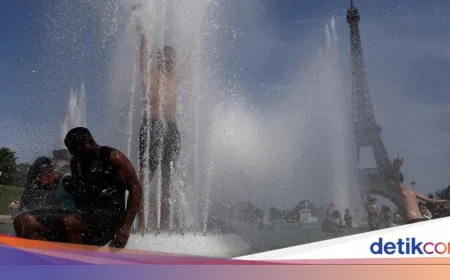 Gelombang Panas Picu 3.700 Kematian Berlebih di Prancis, Belgia, dan Belanda