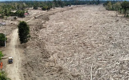 Tekanan Zona Lindung Memperparah Bencana Sumatera, Ini Hasil Kajian Terbaru