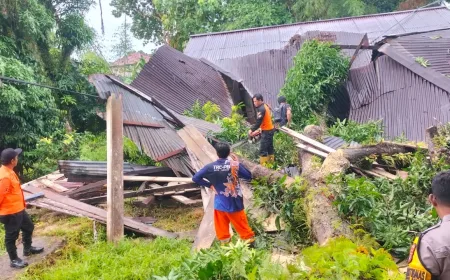 Tarakan Dilanda Longsor dan Pohon Tumbang, BPBD Imbau Warga Tetap Waspada