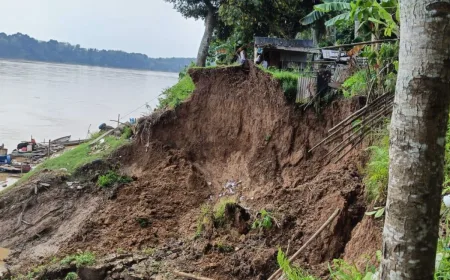 BPBD Batang Hari Catat 4 Titik Longsor di Bantaran Sungai Batanghari
