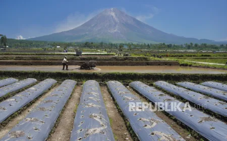 El Nino 2026 Ancam Afrika: Risiko Kekeringan dan Banjir Bandang Mengancam Jutaan Warga