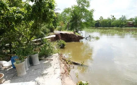 Dong Thap Aktifkan Strategi Perlindungan Banjir untuk Atasi Risiko Tanah Longsor