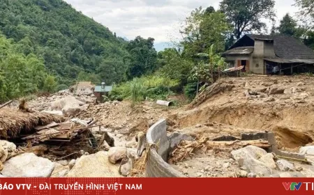 Respons Proaktif terhadap Hujan Lebat dan Banjir Bandang di Pegunungan Utara Vietnam