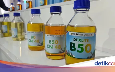 Program B50 Hemat Devisa Rp 170 T dan Serap 2,1 Juta Tenaga Kerja