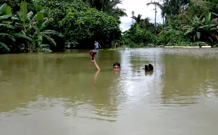 Banjir Siberut Meningkat Akibat Hilangnya Hutan, Ancaman Besar bagi Masyarakat Adat