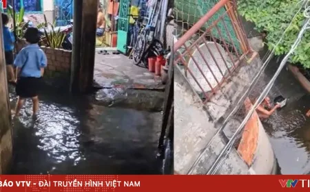 Gang di Jalan Ho Hoc Lam Banjir Parah Karena Tidak Ada Sistem Drainase