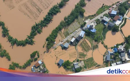 Invasi 900 Ular Berbisa Saat Banjir di China, 1 Wanita Tewas Digigit Kobra