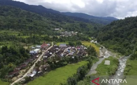 Jambi Dukung Perhutanan Sosial Masuk PSN untuk Atasi Kemiskinan Ekstrem