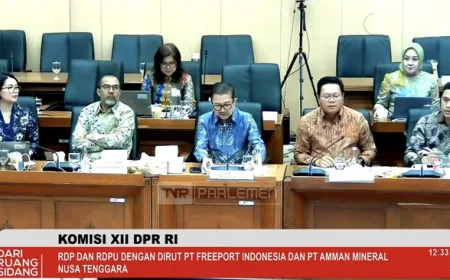 Produksi Tembaga Freeport Target Pulih 100% Akhir 2027 Pasca Longsor