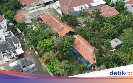 Warga Ciputat Protes Kandang Ayam 1.800 Ekor Dekat Perumahan, Bau Mengganggu