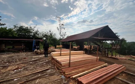 Polda Riau Bongkar Sawmill Ilegal di Kampar, Sita Ratusan Kayu Hasil Pembalakan Liar
