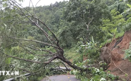 Empat Provinsi Pegunungan Vietnam Utara Siaga Banjir Bandang dan Tanah Longsor