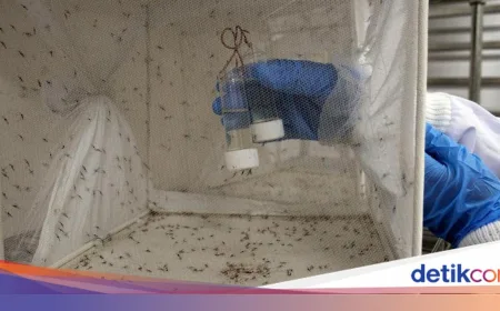 Rekayasa Genetik Nyamuk Jantan: Strategi Baru Memusnahkan Malaria di Uganda