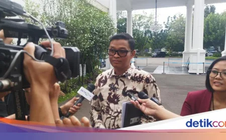 Insentif Pajak 0% Selama 50 Tahun di PFII Dorong Investasi Asing Mengalir