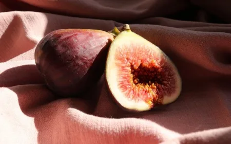 Buah Tin dan Zaitun dalam Al Quran: Khasiat Turunkan Kolesterol Terbukti