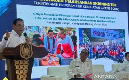 Kemenkes Minta Pemda Perkuat Tenaga Kesehatan Cegah Penyakit Tb Secara Maksimal