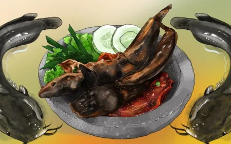 Ikan Lele Jadi Favorit Warga RI, Ternyata Bisa Menyerap Racun dalam Air