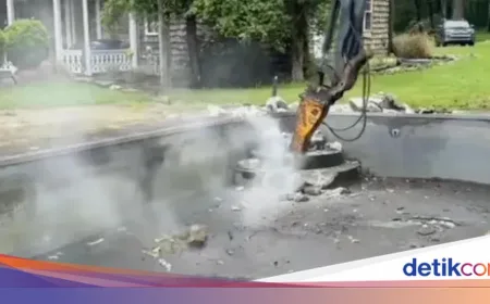 Beli Rumah Rp 8 M di Pennsylvania, Pasangan Ini Dapat 'Bonus' Puluhan Ular
