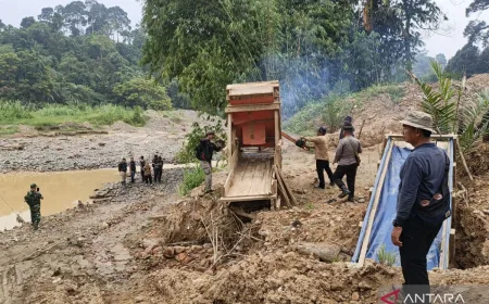 Penegakan Hukum Kemenhut Perkuat Perlindungan Kawasan Hutan Indonesia
