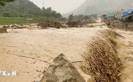 7 Provinsi Pegunungan Vietnam Utara Siaga Hadapi Hujan Lebat dan Banjir Bandang