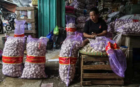 Impor Bawang Putih Meningkat 28%, Namun Harga Konsumen Masih Tinggi
