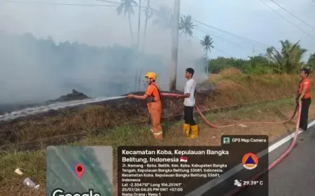 Karhutla dan Tanah Longsor Jadi Bencana Terparah di Indonesia dalam Dua Hari Terakhir