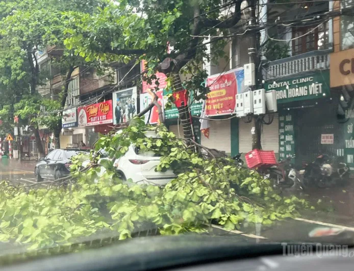 Respons Proaktif terhadap Hujan Lebat dan Bencana Alam di Provinsi Tuyên Quang