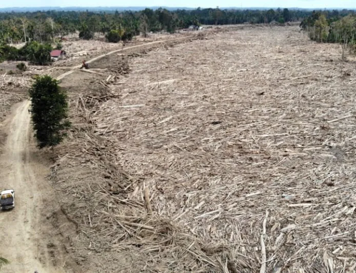 Tekanan Zona Lindung Memperparah Bencana Sumatera, Ini Hasil Kajian Terbaru