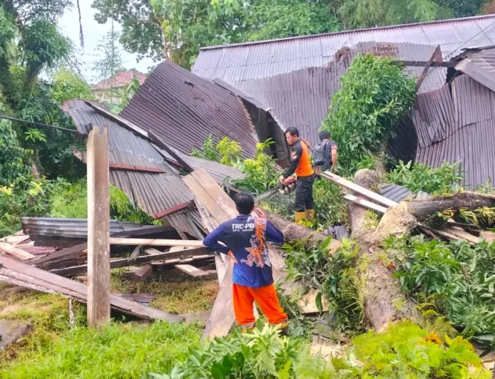 Tarakan Dilanda Longsor dan Pohon Tumbang, BPBD Imbau Warga Tetap Waspada