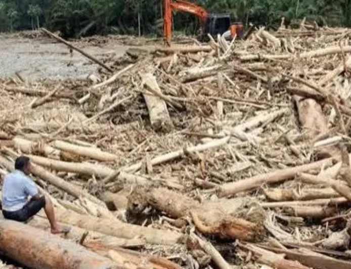 Mengapa Penebangan Hutan Membuat Banjir Makin Sering Terjadi?