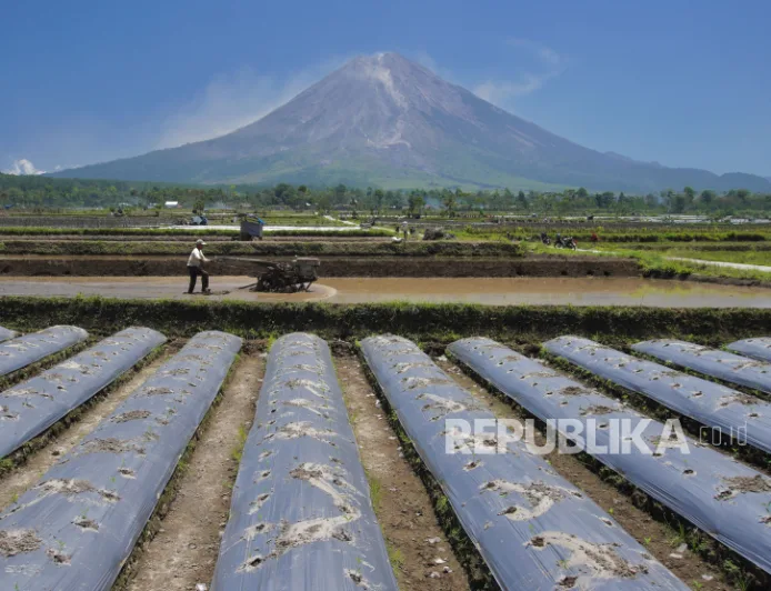 El Nino 2026 Ancam Afrika: Risiko Kekeringan dan Banjir Bandang Mengancam Jutaan Warga