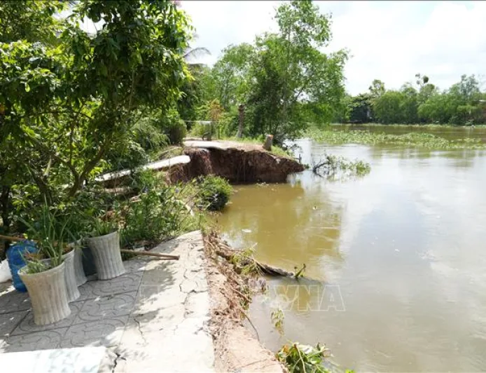 Dong Thap Aktifkan Strategi Perlindungan Banjir untuk Atasi Risiko Tanah Longsor