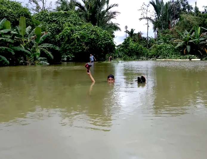 Banjir Siberut Meningkat Akibat Hilangnya Hutan, Ancaman Besar bagi Masyarakat Adat